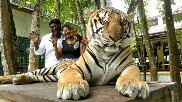 Tiger Kingdom in Phuket