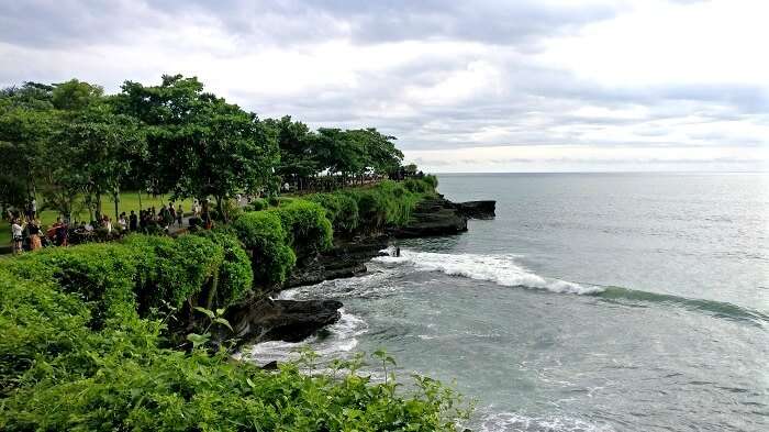 lush green forests on the shoreline of a beach