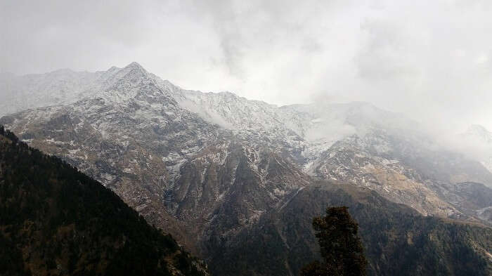 backdrop of Himalayas from Triund Hill