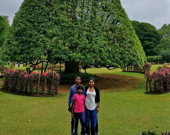 Botanical garden in Sri Lanka