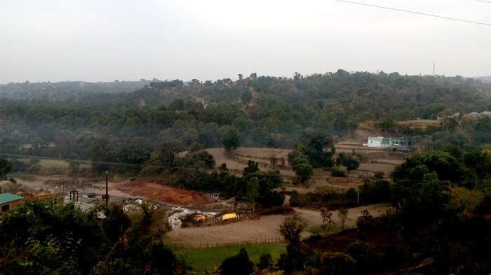 lush green fields of Dharamsala