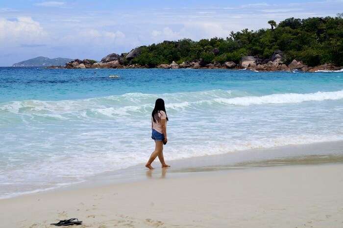 Natural beauty of Seychelles