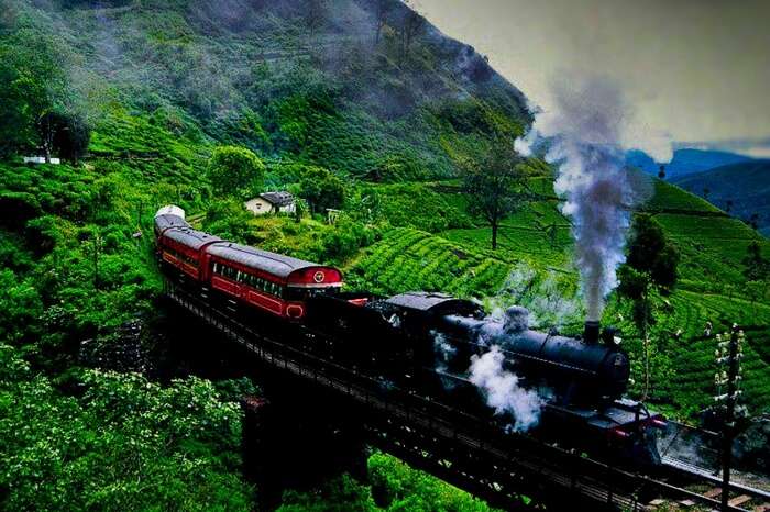 The mesmerizing train ride from Kandy to Ella crossing tea plantation