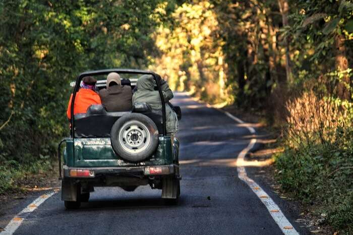 heading out in the jungle