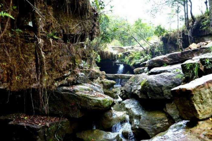 Stream of water flowing amid rocks in Garden of Caves in Meghalaya
