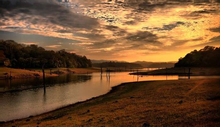 Periyar National Park in kerala