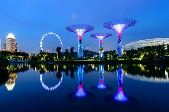 Illuminated garden of Singapore