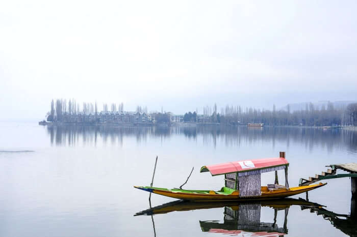 Lone boat standing on the shore in Dal Lake
