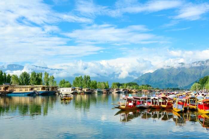 Shikaras in Dal Lake in Kashmir