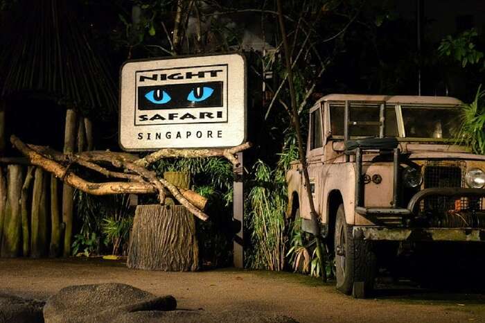 Night safari in Singapore,