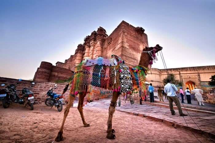 A colorful spring evening as Jodhpur soaks in the spirit of Mewar Festival