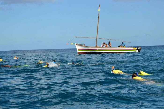 Dolphin cruise in Mauritius