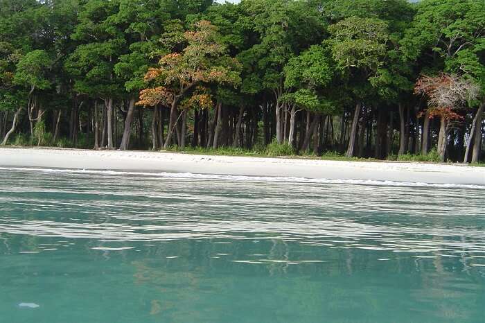 The clear waters and tropical vegetation at the Karmatang Beach in Andaman