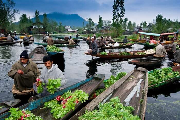 Flowers being sold on boats in Dal Lake in Kashmir