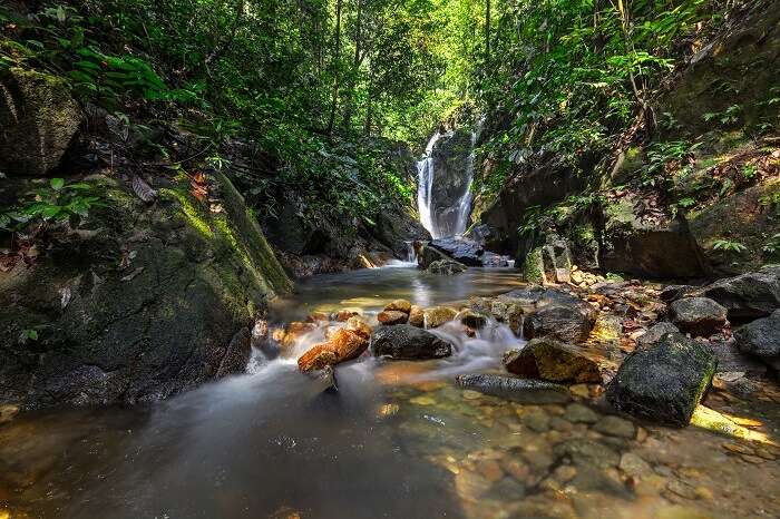 Long exposure of view hidden Templer Park's waterfall at Rawang Kuala Selangor Nature Park