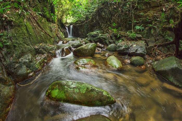 Lata Tampit Waterfall at Janda Baik in Pahang district of Malaysia