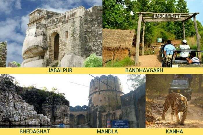 The best MP tour for nature lovers covering Jabalpur – Bhedaghat – Mandla – Kanha – Bandhavgarh