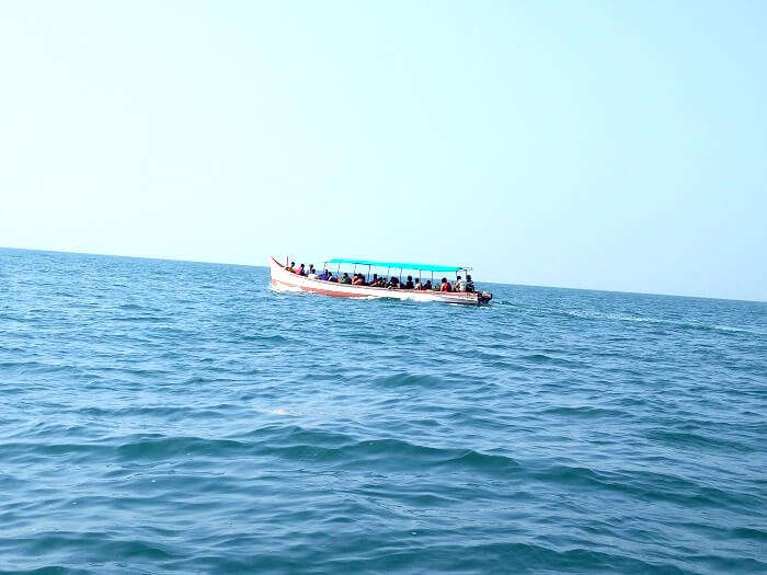 Dolphin spotting in Goa