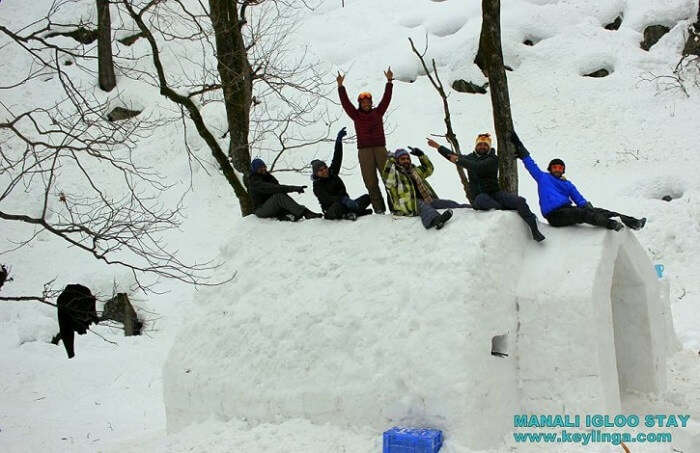 A large group sitting atop the unique igloo in Manali