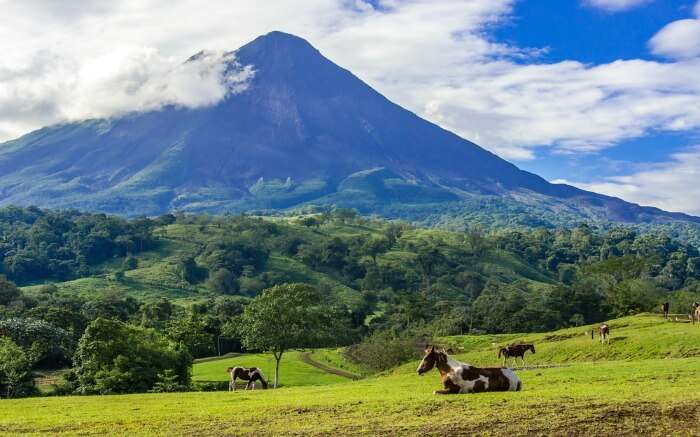 View of Arenal Volcano National Park