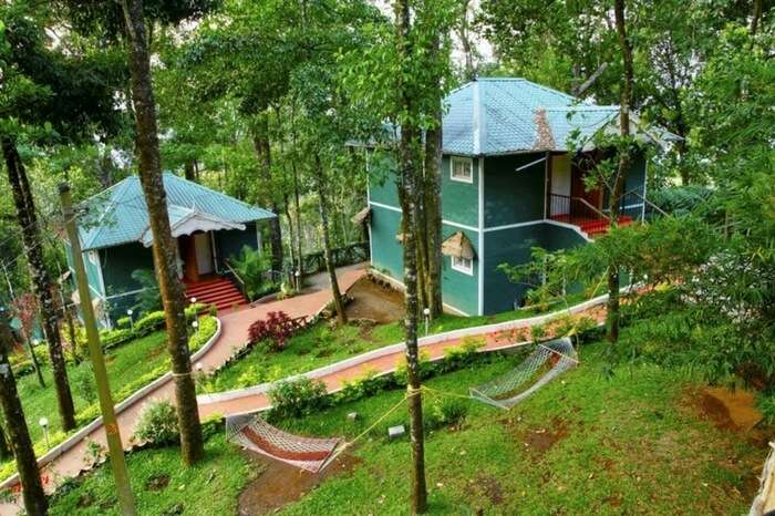 Blue Bells Valley Resort in Munnar amid lush greenery