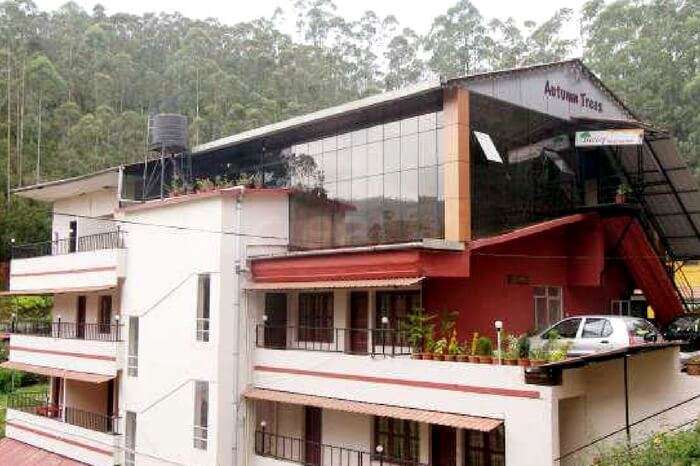 Autumn Trees Hotel Munnar