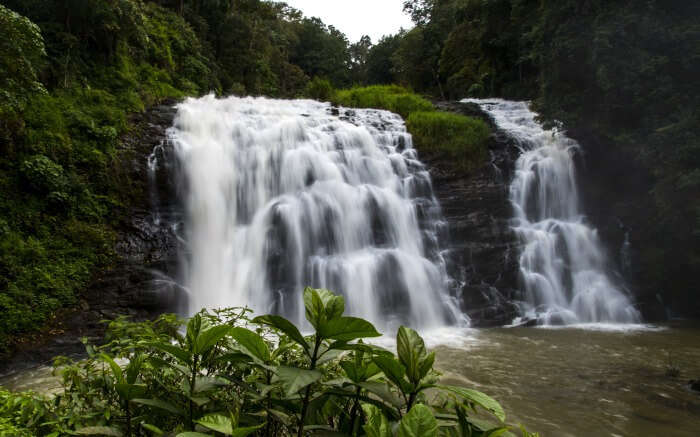 Abbey Falls in Coorg