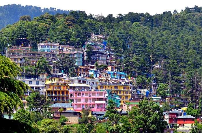 colorful accommodation in Dharamshala