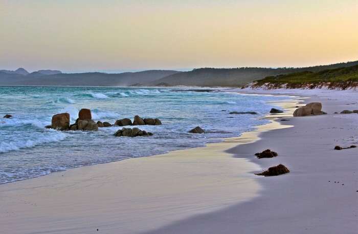 Milk Beach View