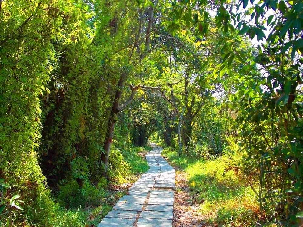 cemented path on Pathiramanal island
