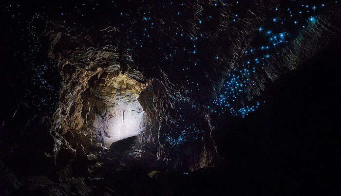 Waitomo Glowworm Caves in Auckland