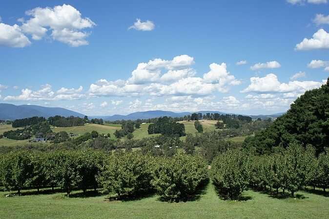 Mesmerizing Yarra Valley