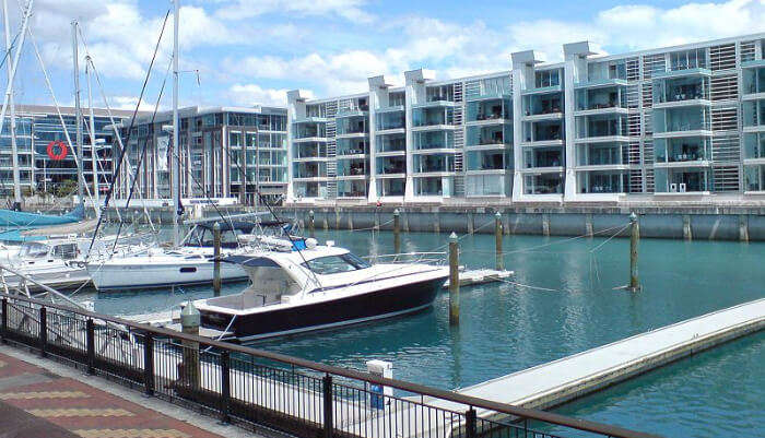 Viaduct Harbour in Auckland