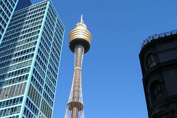 Sydney Tower View