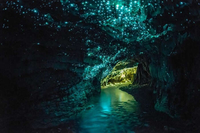 Well lit interiors of Glowworm Caves in Waitomo