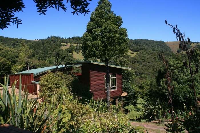 Cottage Stay Auckland