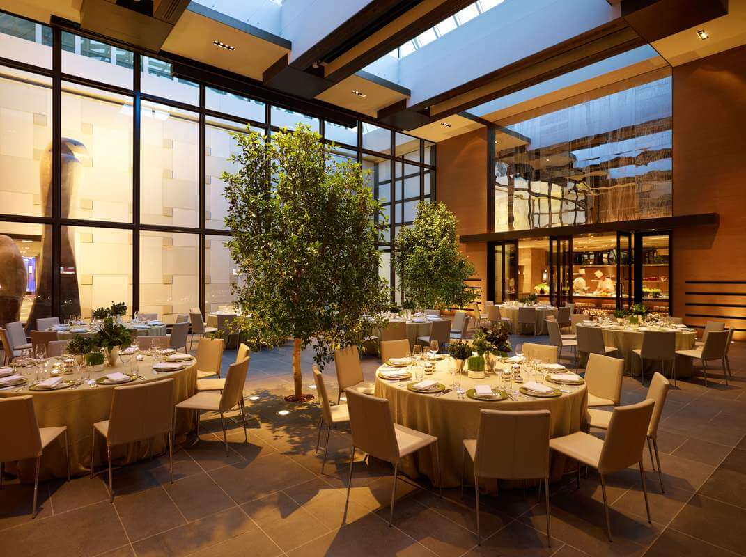 dining tables and indoor plant at grand hayatt, grand hayatt restaurant