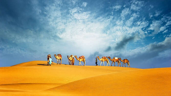 Camel Safari with Dinner in Dubai