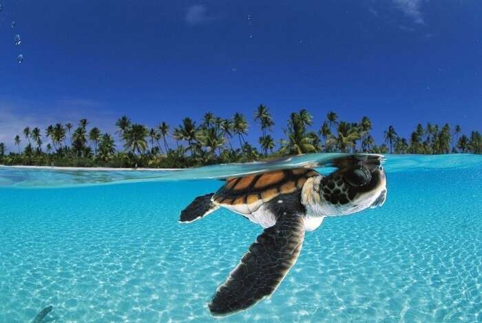 Lakshadweep Islands