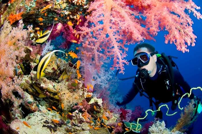 Scuba diving in Andaman Islands