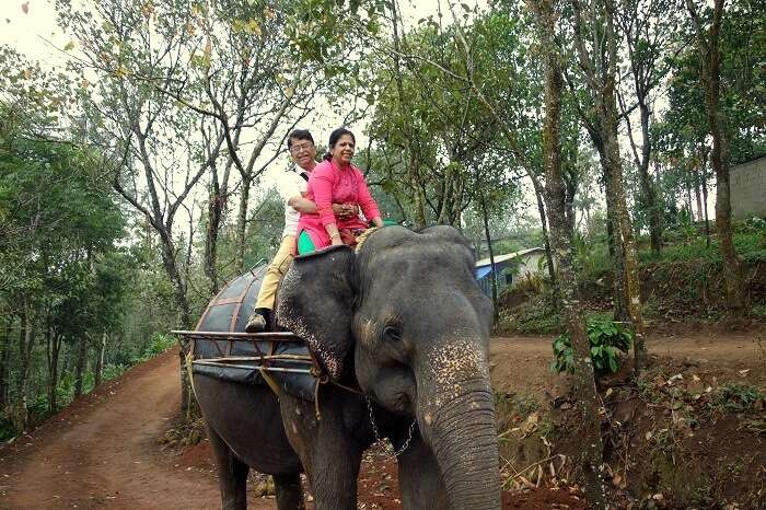 couple on elephant thekkady