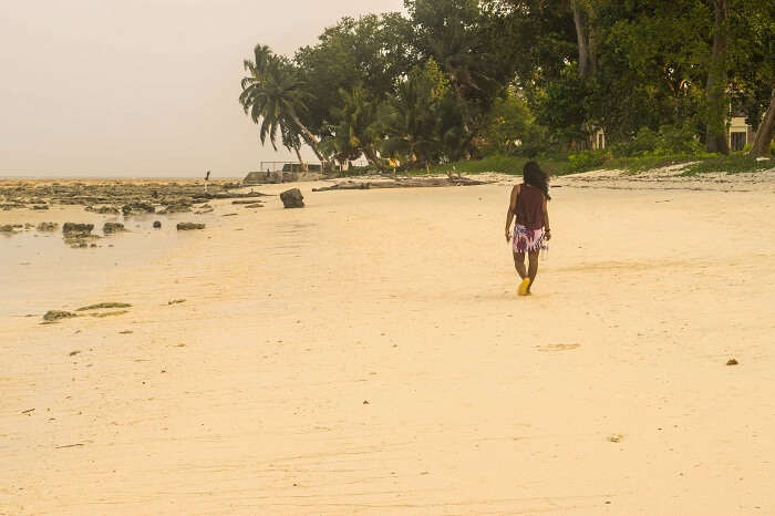 beaches of andaman