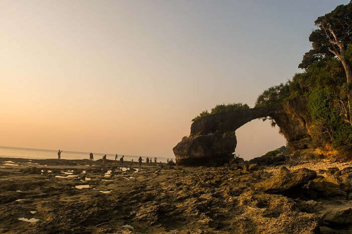 nature in neil island