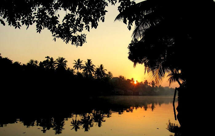 Alleppey Sunset View