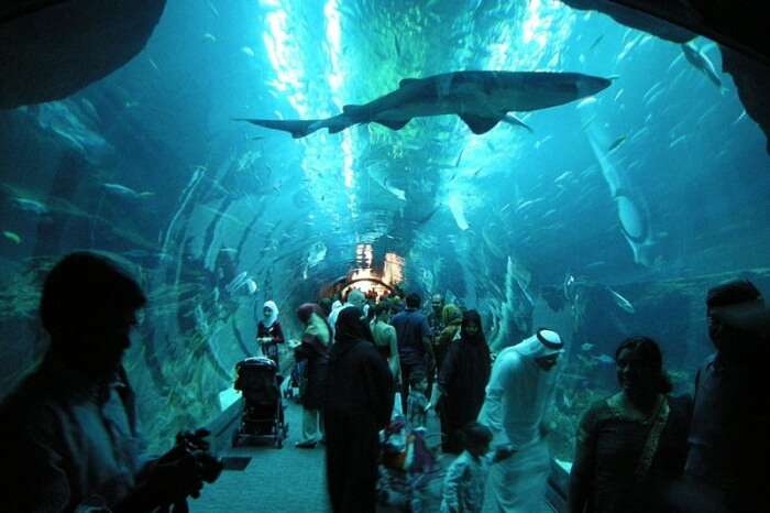 Dubai Aquarium