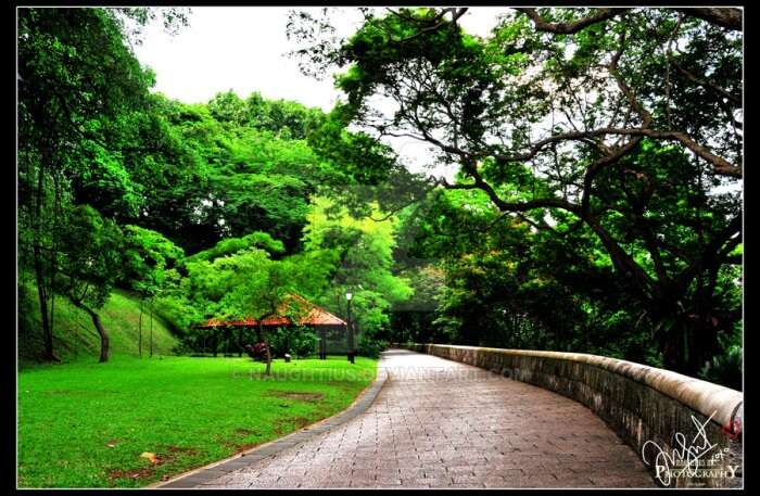 Fort Canning Hill