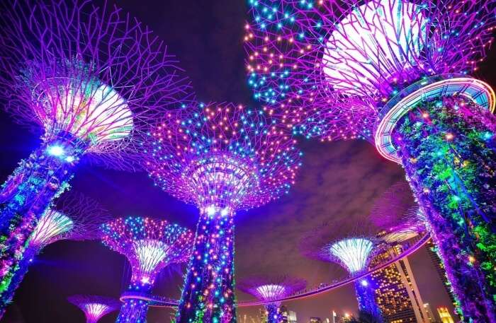 Gardens By The Bay in Singapore