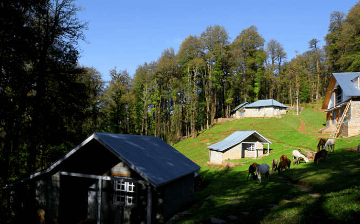 Camps in Himachal