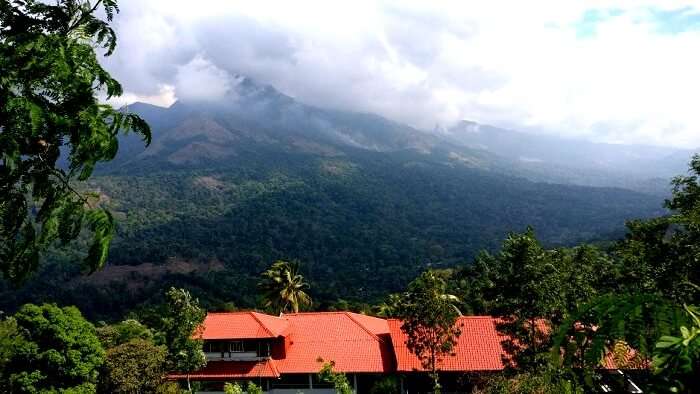 Sightseeing in Munnar