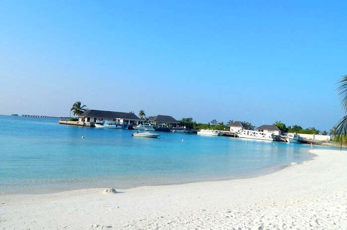serene coastline in maldives